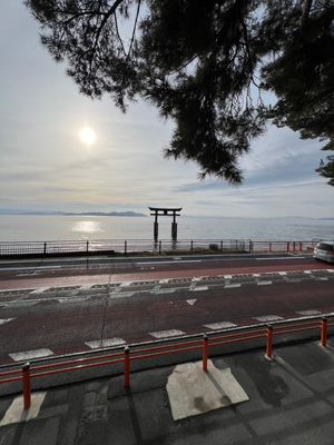 一年越しでやっといけた白鬚神社⛩️
こちらも素晴らしかった♡