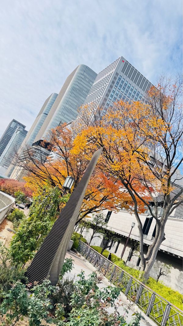 日本・大阪府「大阪府」の写真