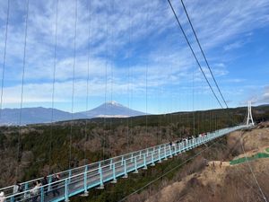 今回1番行きたかった三島スカイウォーク