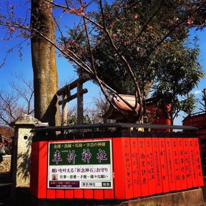 俳優 吉岡里帆 さんも祈願した車折神社、2枚目の画像を待ち受けにすると、悪...