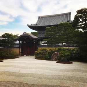 お庭が素敵な建仁寺
こういう綺麗なお寺を見るとテンション上がりますね