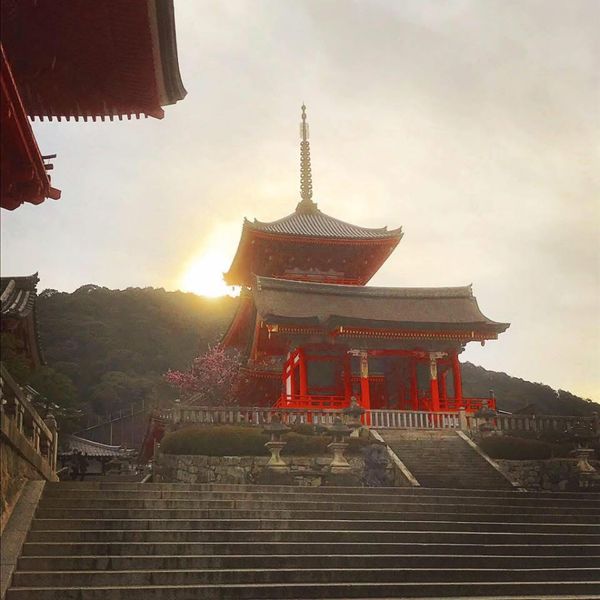 日本・京都府「推しの聖地巡礼古都京都府旅行」の写真：清水寺の有名な清水の舞台は、ちょうど工事...