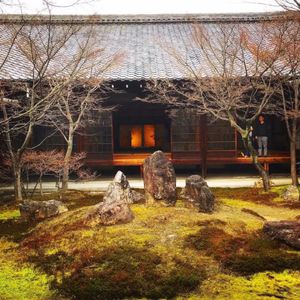 お庭が素敵な建仁寺
こういう綺麗なお寺を見るとテンション上がりますね