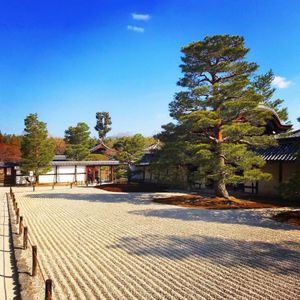 建物も庭も池も全てが魅力的な天龍寺