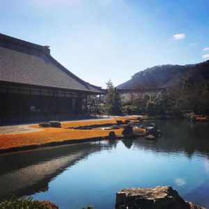 建物も庭も池も全てが魅力的な天龍寺