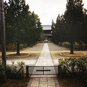 お庭が素敵な建仁寺
こういう綺麗なお寺を見るとテンション上がりますね