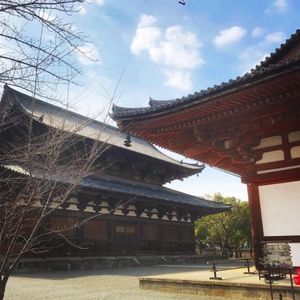 東寺も大きくて京都は規模が大きな寺ばかり
やはり古都京都は次元が違う