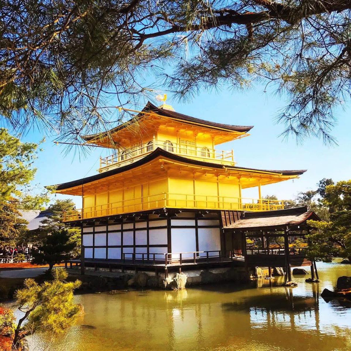 近くで見るとやはり黄金色が綺麗な金閣寺
この存在感はハンパない