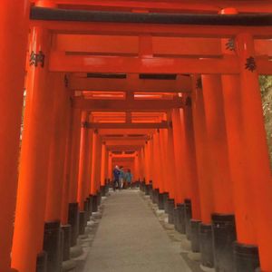 どこまでも続く鳥居⛩️伏見稲荷大社
長すぎて途中でギブアップ😞
いつかまた...