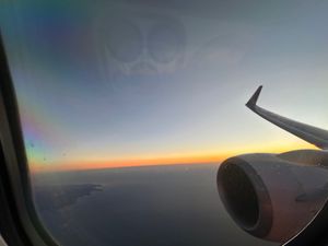 日本航空の初日の出フライトツアー