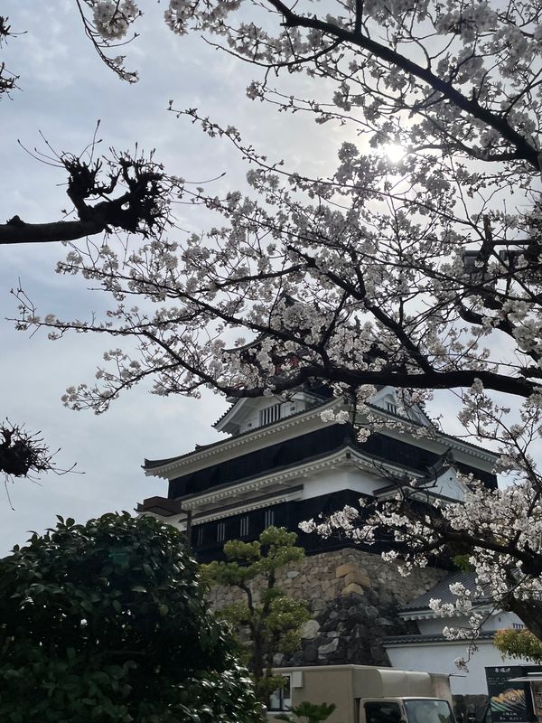 日本・愛知県「清洲城」の写真