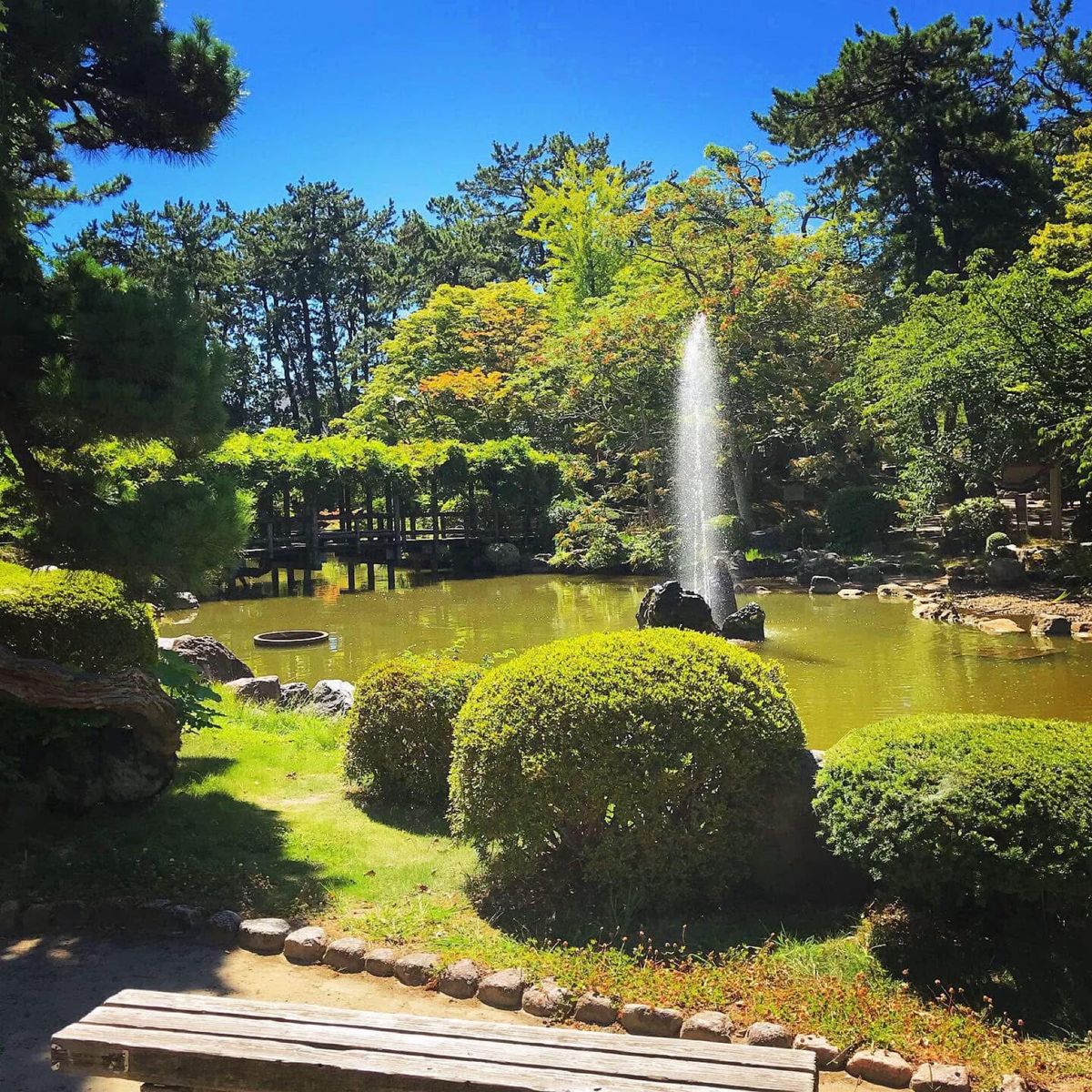 白山公園
ゆっくりのんびりできる雰囲気の公園でした