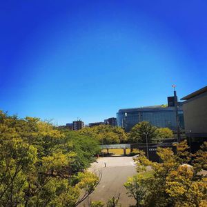 白山公園
ゆっくりのんびりできる雰囲気の公園でした