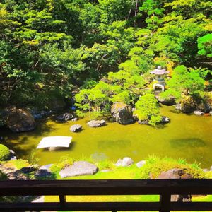 旧齋藤家別邸
建物の中も庭の池も素敵でした✨