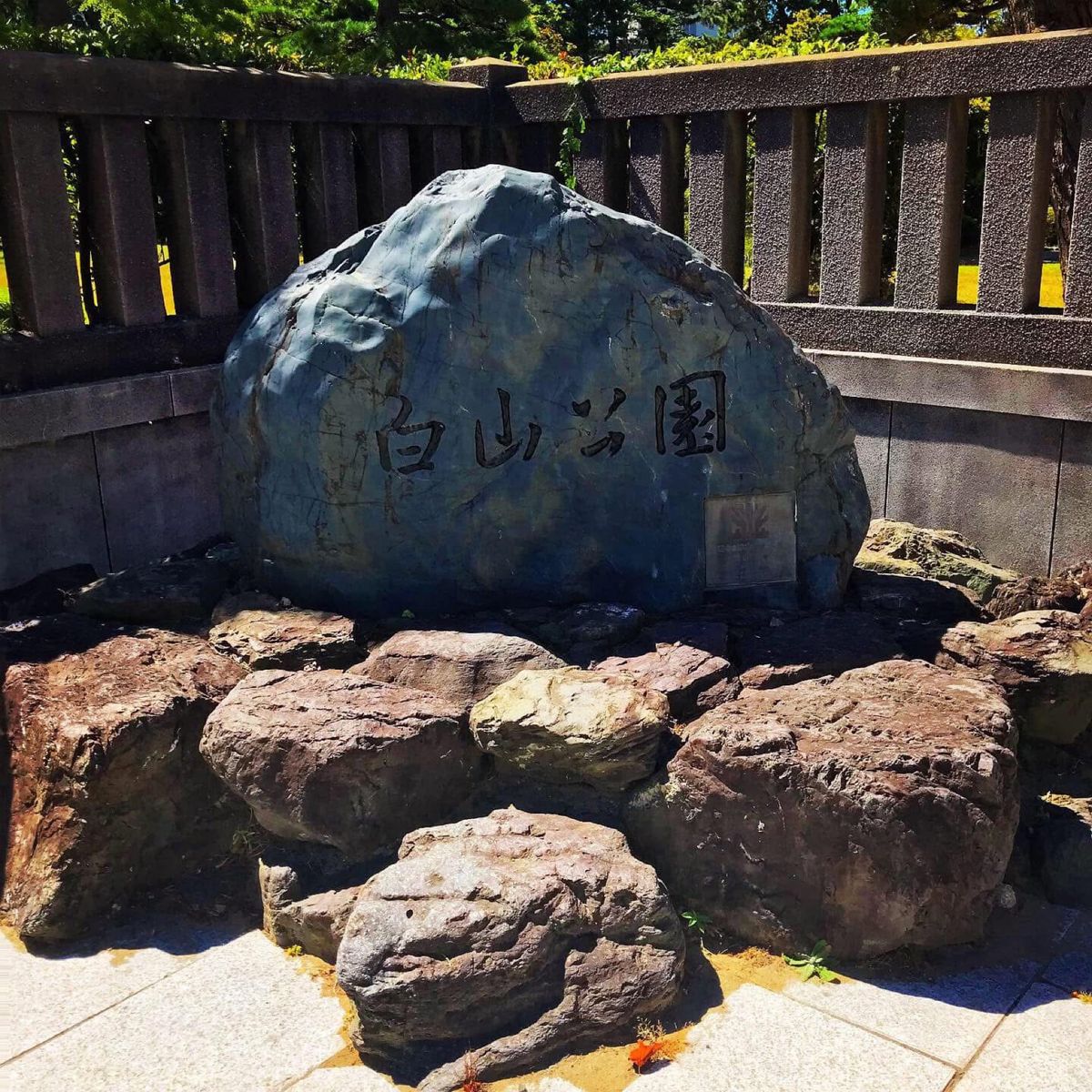 白山公園
ゆっくりのんびりできる雰囲気の公園でした