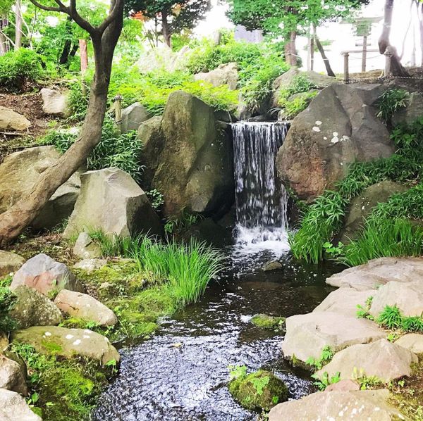 日本・青森県「本州最北端 青森県の旅」の写真：三八城公園
池や滝があり、公園から八戸市...