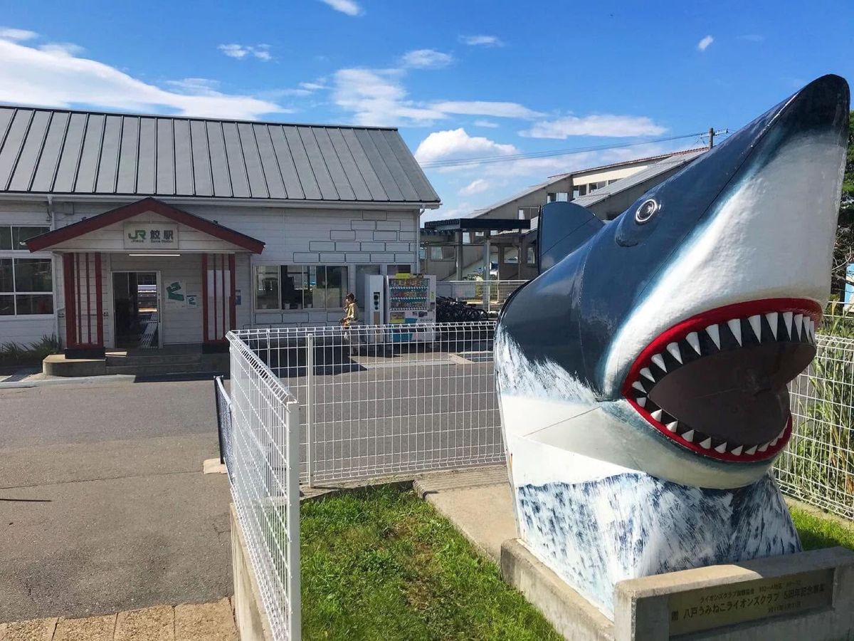 鮫駅
鮫駅の前に本当に鮫がいました🦈