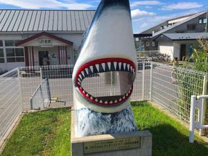鮫駅
鮫駅の前に本当に鮫がいました🦈