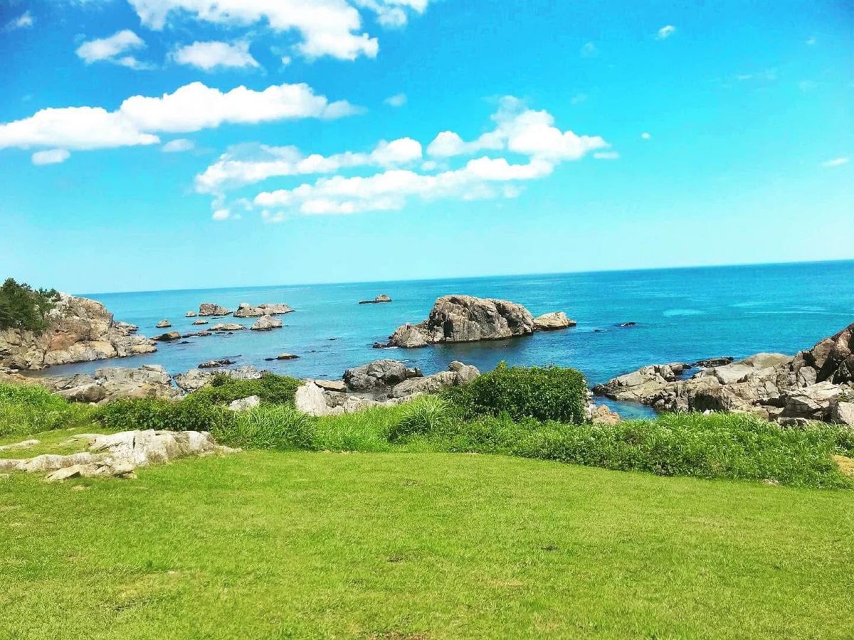種差海岸
緑と青の風景がとても綺麗で素敵な場所でした