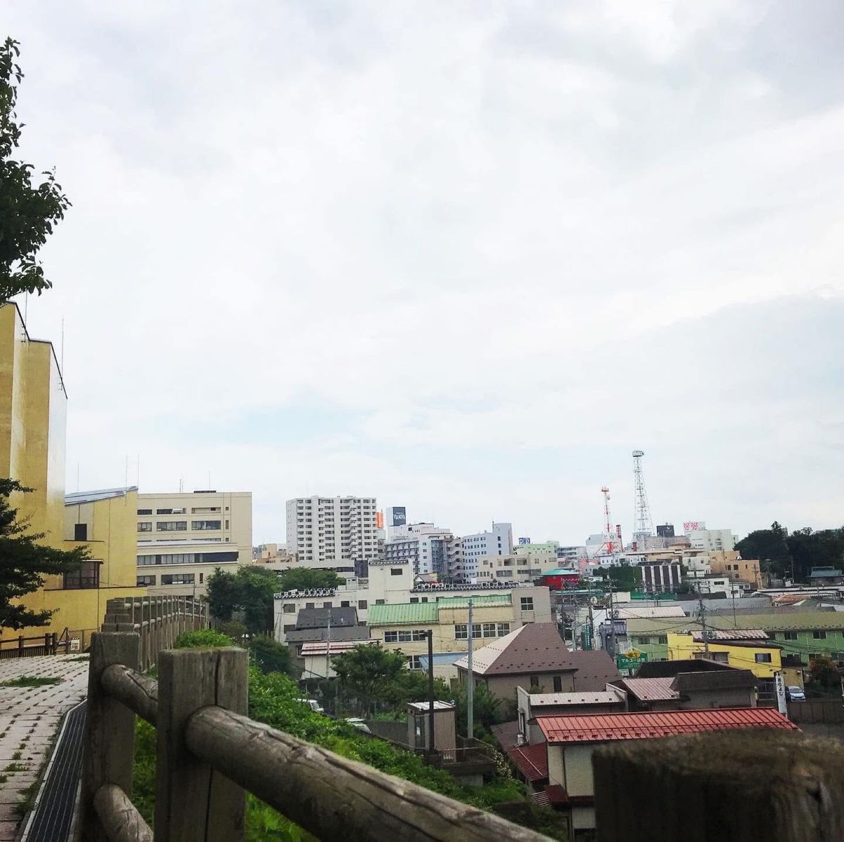 三八城公園
池や滝があり、公園から八戸市内が見えてのどかな公園でした