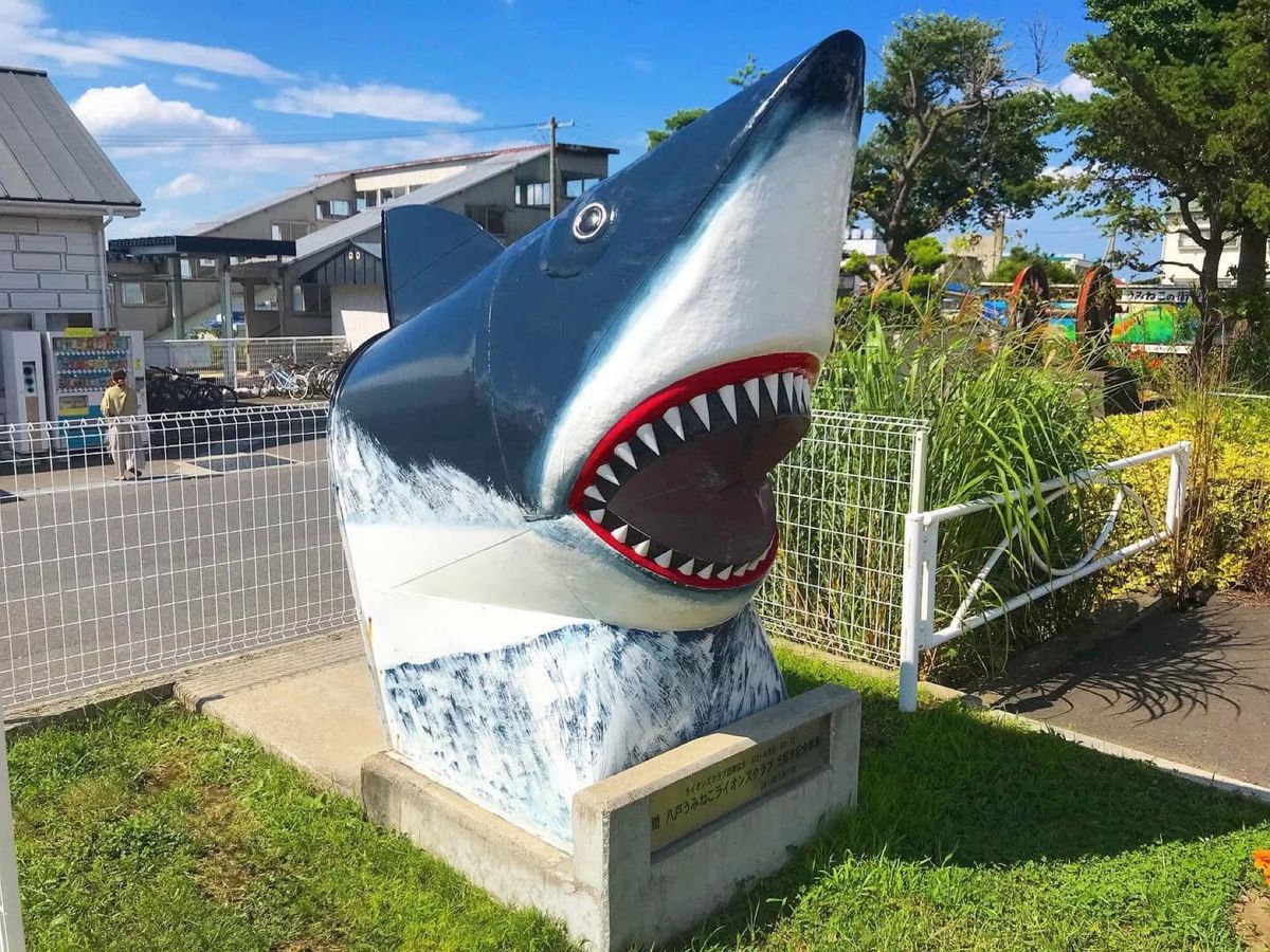 鮫駅
鮫駅の前に本当に鮫がいました🦈