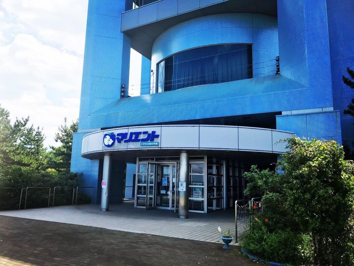 八戸市水産科学館マリエント
水族館っぽく水槽に魚🐟はいますがあくまで科学館です