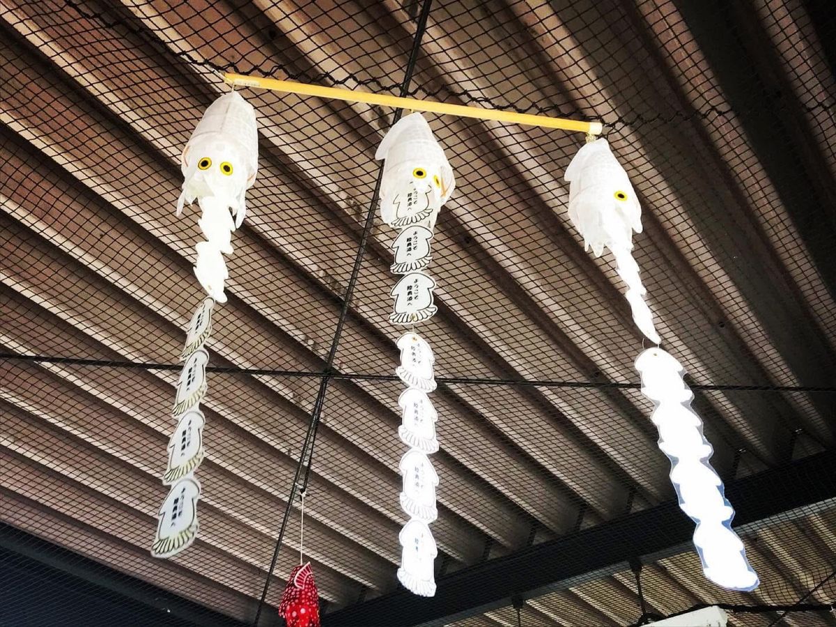 陸奥湊駅
🦑が有名な八戸市らしい駅でした