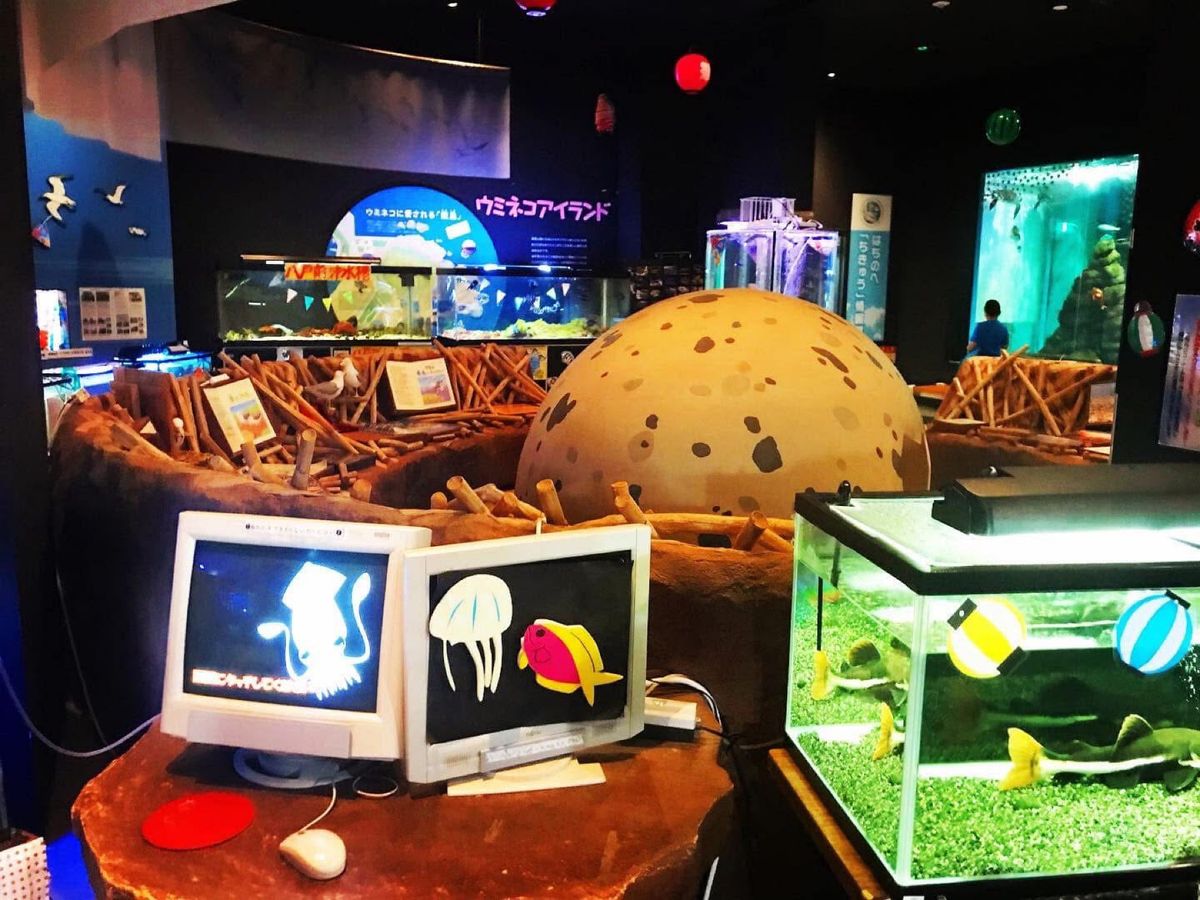 八戸市水産科学館マリエント
水族館っぽく水槽に魚🐟はいますがあくまで科学館です