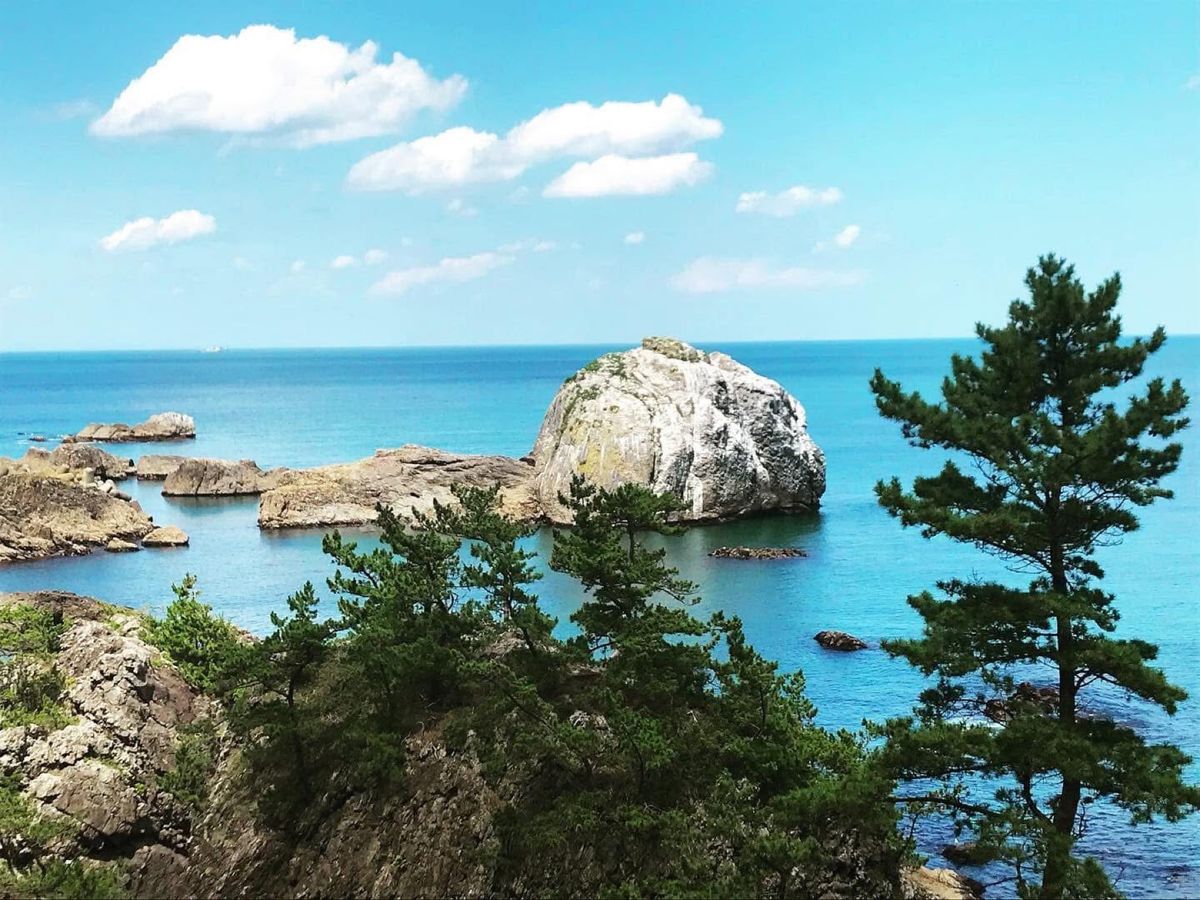 白岩
海に浮かぶ白くて丸い岩🪨が趣きがあって良い感じでした