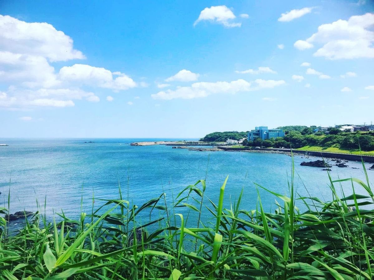蕪島神社⛩️
時期によってはかもめ🦆がたくさんいるそうです