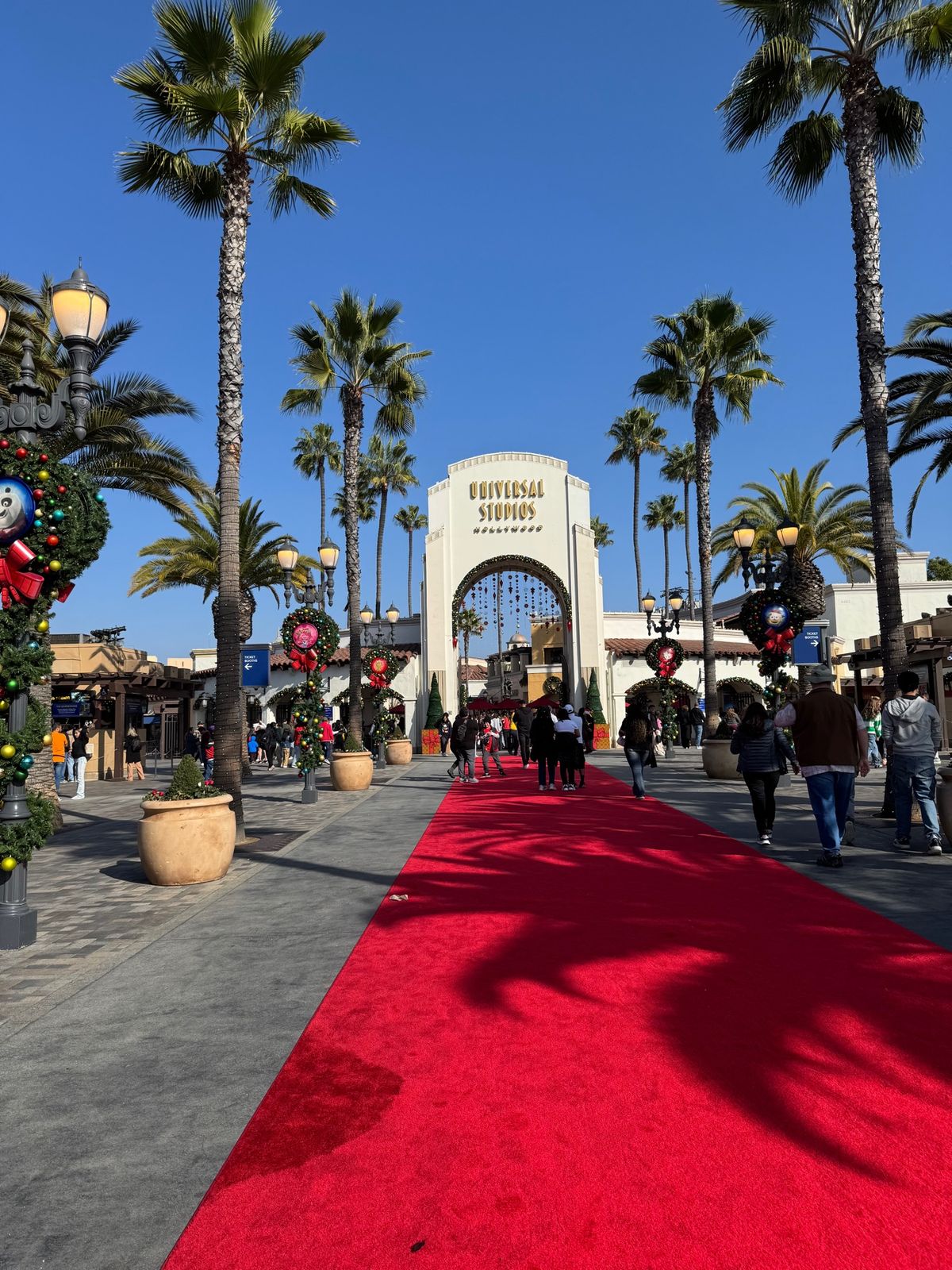 アドベンチャーパークが私のお気に入り‼️💯