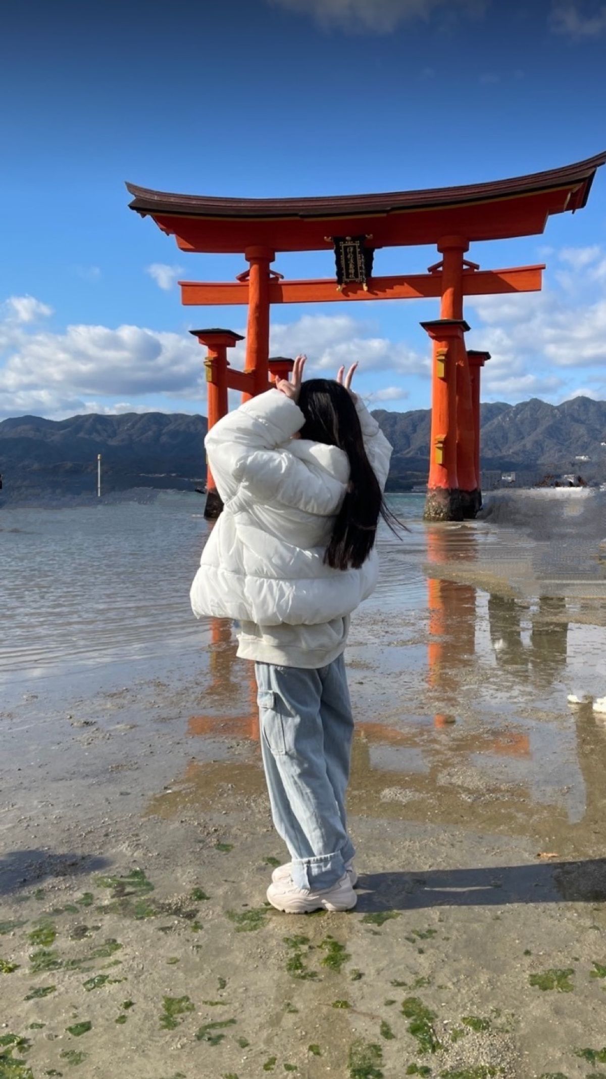 初の広島旅行⛩
宮島で宿泊🏚️♨️