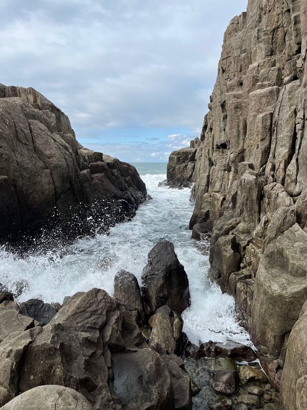 日本・福井県「2023年末　福井旅行」の写真