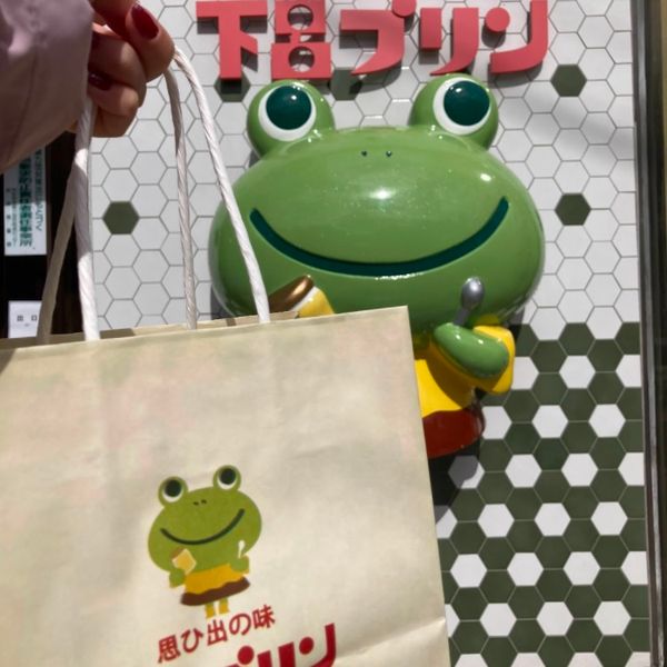 日本・岐阜県「冬の下呂温泉☃❄」の写真