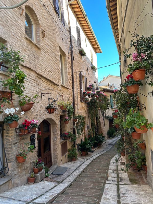 イタリア・Orvieto「2024 ペルージャ🇮🇹」の写真