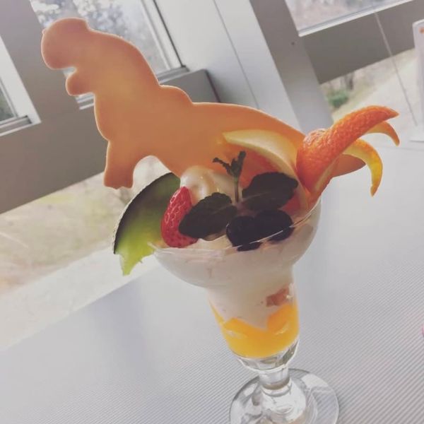 日本・福井県「春の福井・石川🌷🌸」の写真