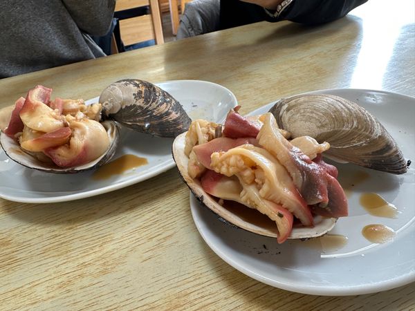 日本・北海道「2024 札幌」の写真