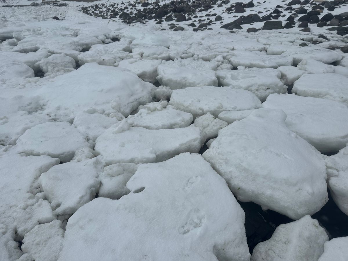 3/15 流氷ウォーク参加