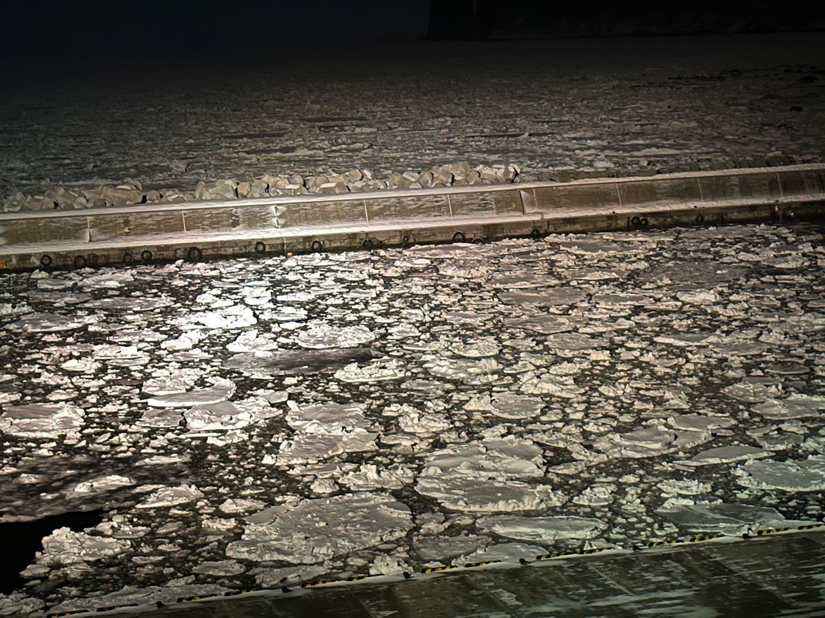 3/14 北こぶし泊　北風で流氷戻ってきました