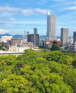 【撮影場所】広島県 広島市 広島城

【住所】広島県広島市中区基町21-1...