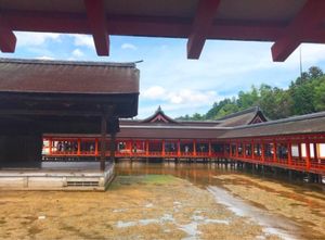 【撮影場所】広島県 廿日市市 厳島神社
【住所】広島県廿日市市宮島町１－１...