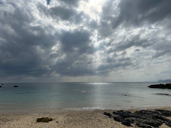 日本・奄美大島「2023 奄美大島」の写真