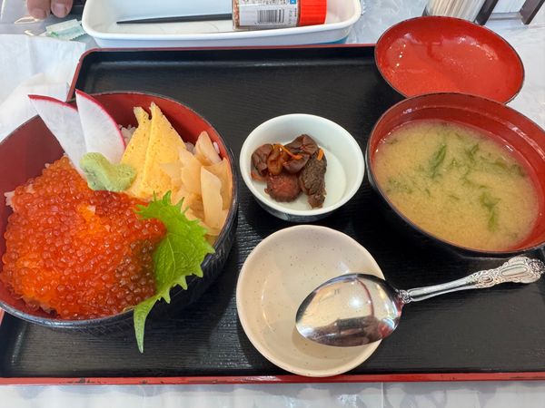 日本・福島県「福島旅行」の写真：いわきららミュウ