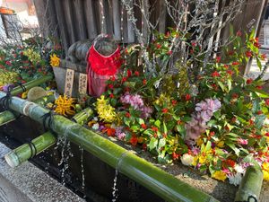 北野天満宮で神頼みをし、すぐ近くの粟餅所 澤屋で粟餅を食す