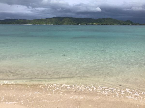 日本・奄美大島「2022 奄美大島①」の写真