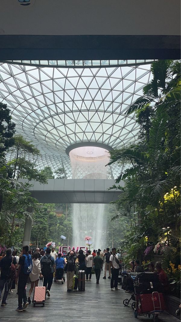 シンガポール・シンガポール「歌とソフトボール」の写真