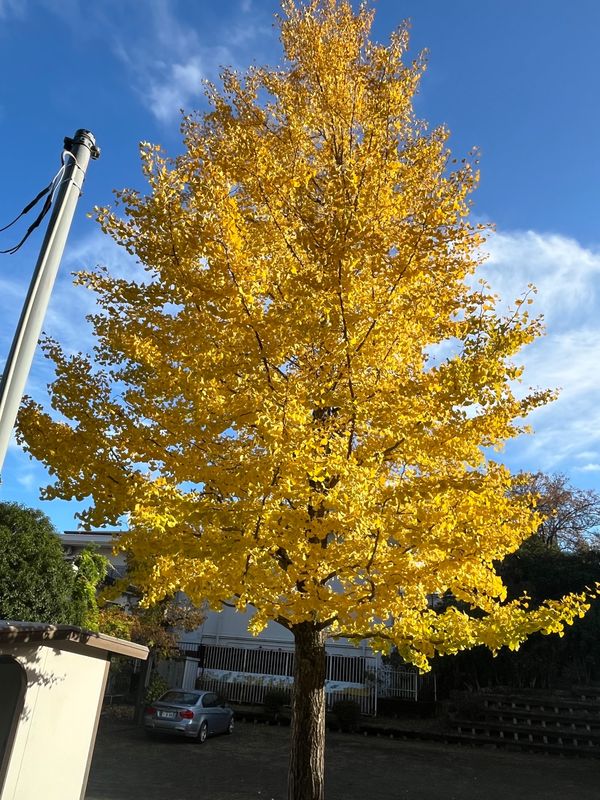日本・神奈川県「箱根」の写真