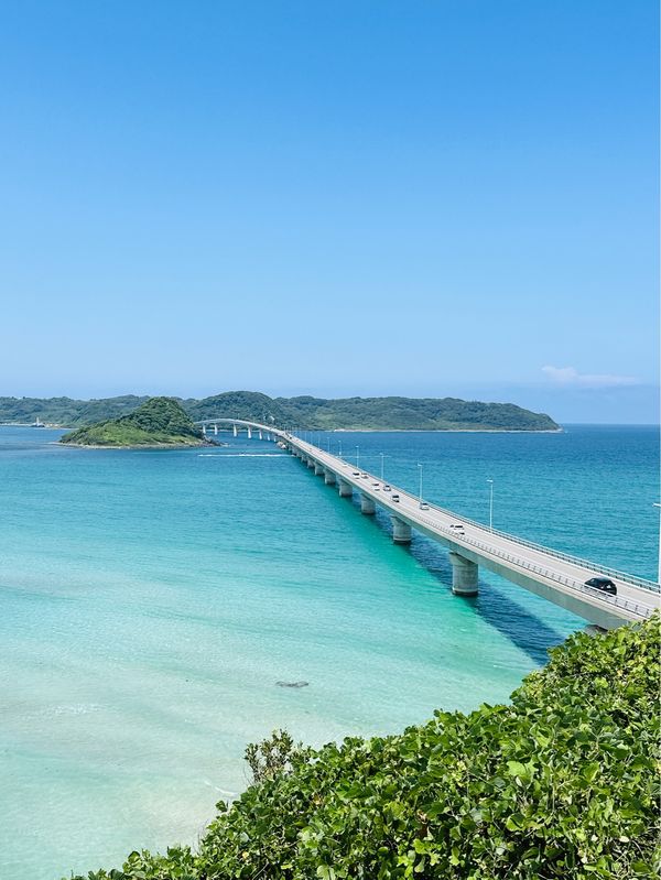 日本・山口県「福岡・山口旅行」の写真