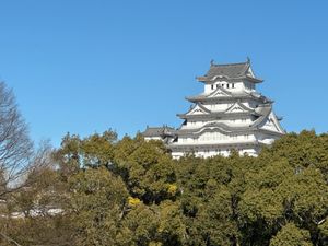 姫路市立美術館
姫路城
姫路神社
書写山圓教寺