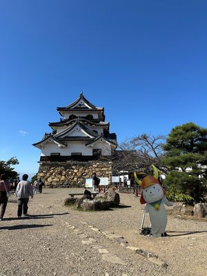 思い立ってひとり旅

多賀大社
長浜城
黒壁スクエア
豊国神社
大通寺
彦根城
